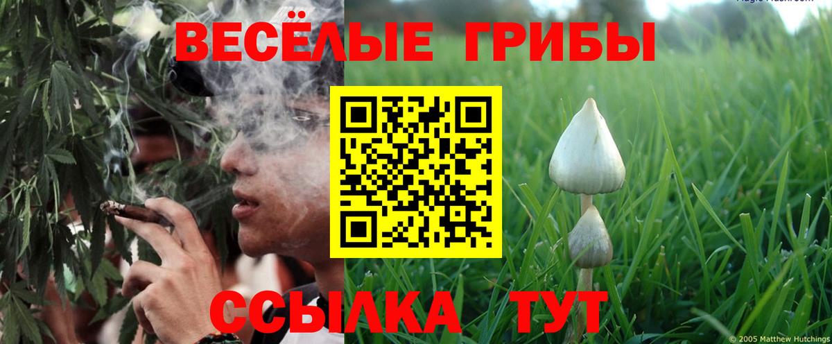 Псилоцибиновые грибы мицелий Лабытнанги